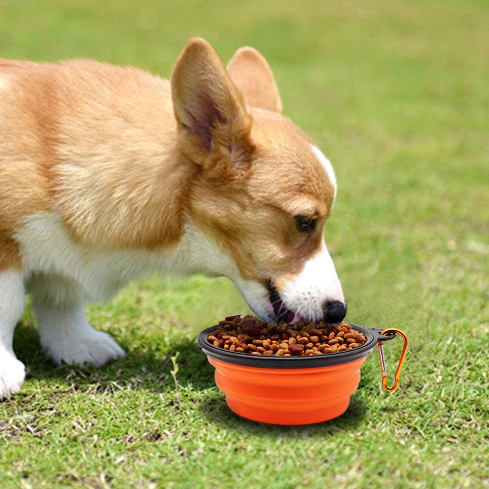 Collapsible Dog Bowls - 2 Pack Portable Pet Feeding and Watering Dishes with Carabiners (Small, Orange and Pink)