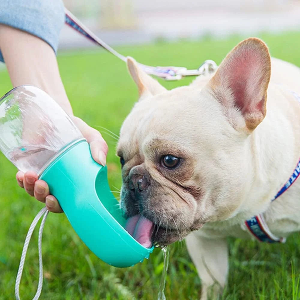 8.3 x 2.5-Inch Portable Dog Water Bottle, 12 oz Leak-Proof Dispenser with Drinking Feeder for Outdoor Activities, Food Grade Plastic - Blue