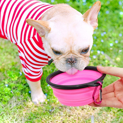 Collapsible Dog Bowls - 2 Pack Portable Pet Feeding and Watering Dishes with Carabiners (Small, Orange and Pink)